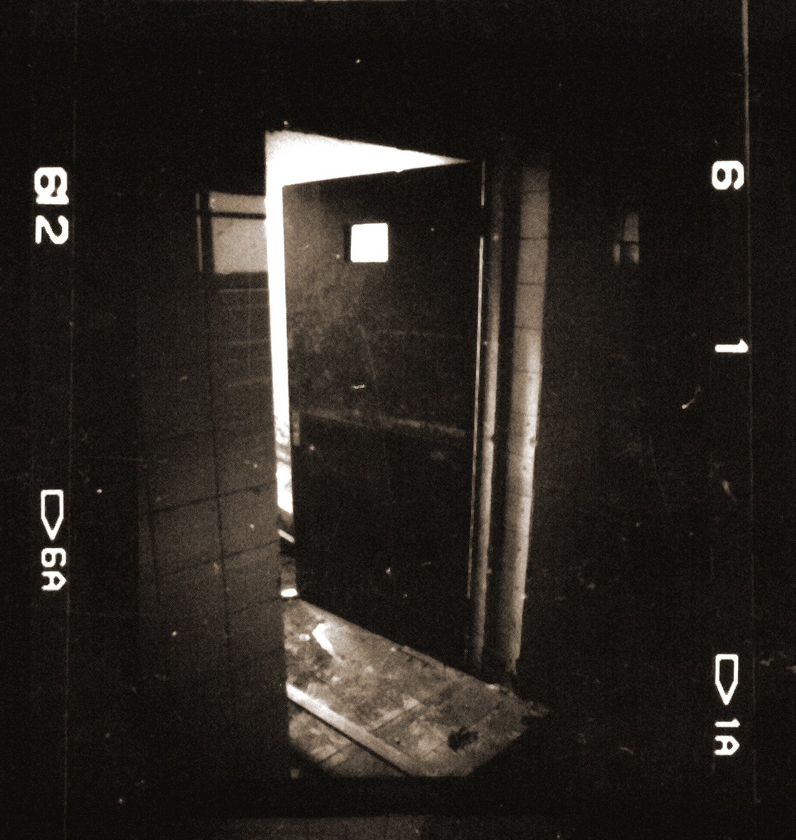 a po taken in a black and white image of a toilet