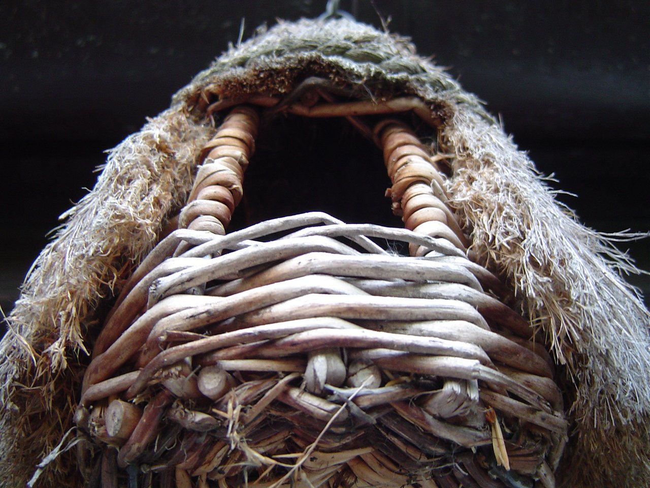 the nest is made out of twigs and other twigs