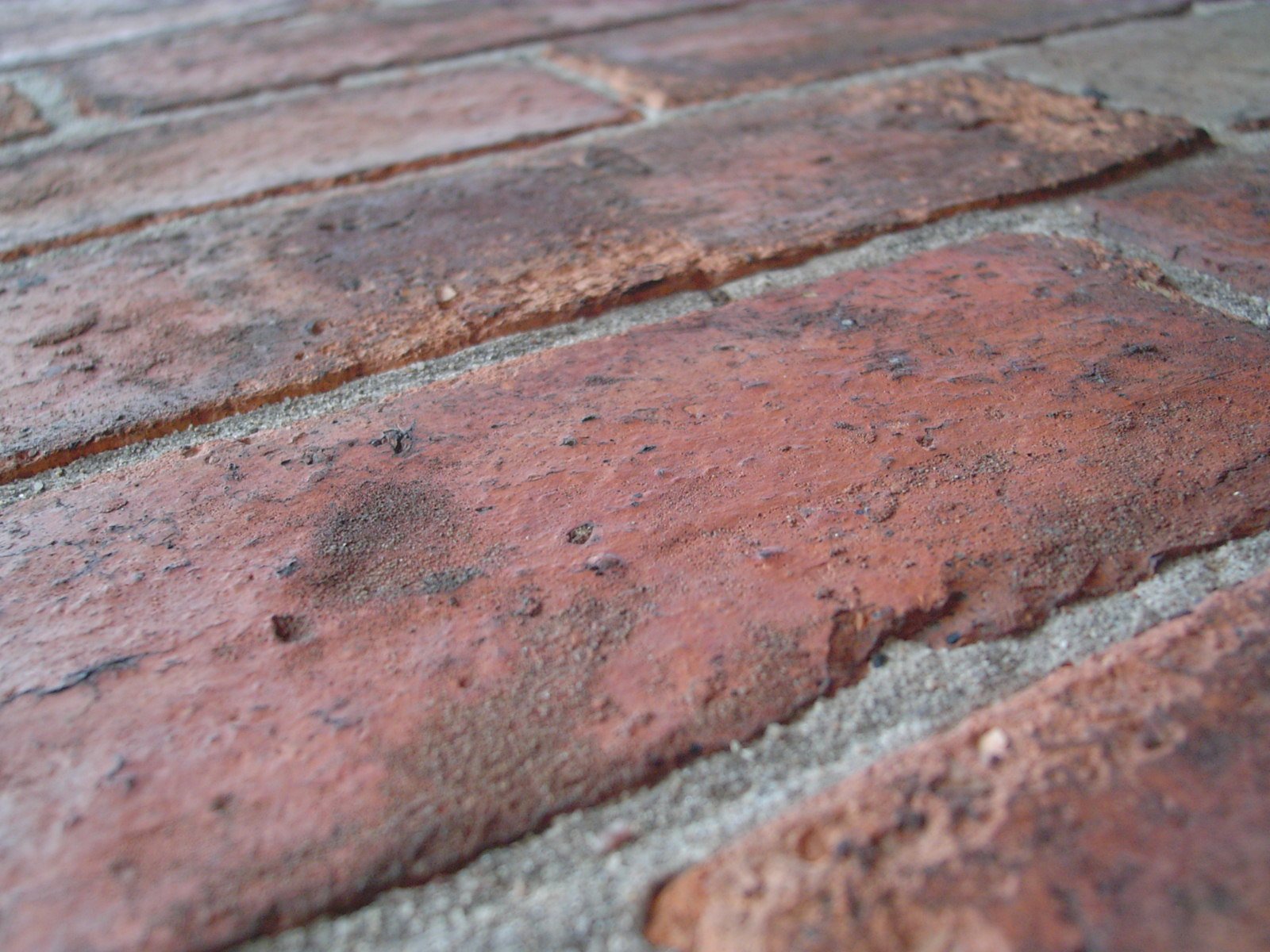 closeup of a brick with dirt on it