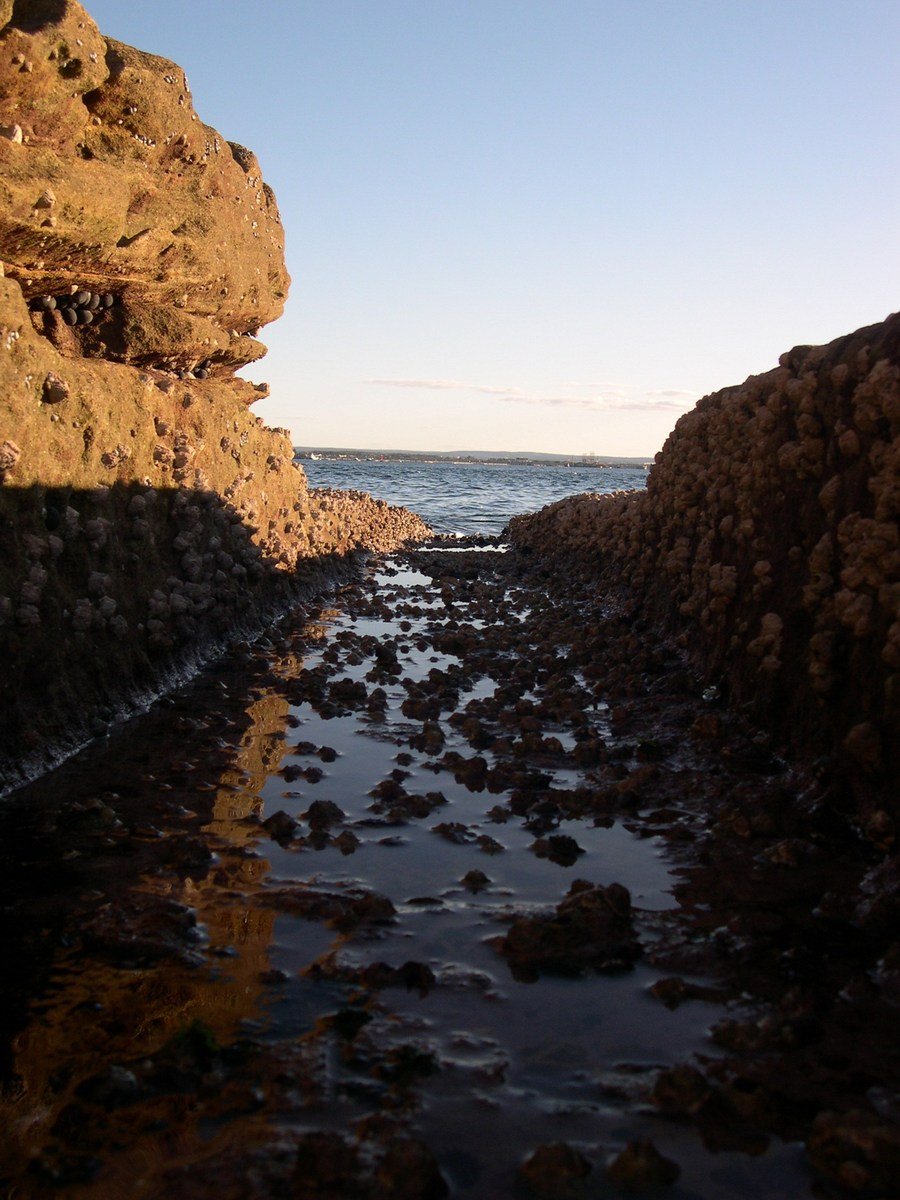 there is an ocean near a rocky shoreline