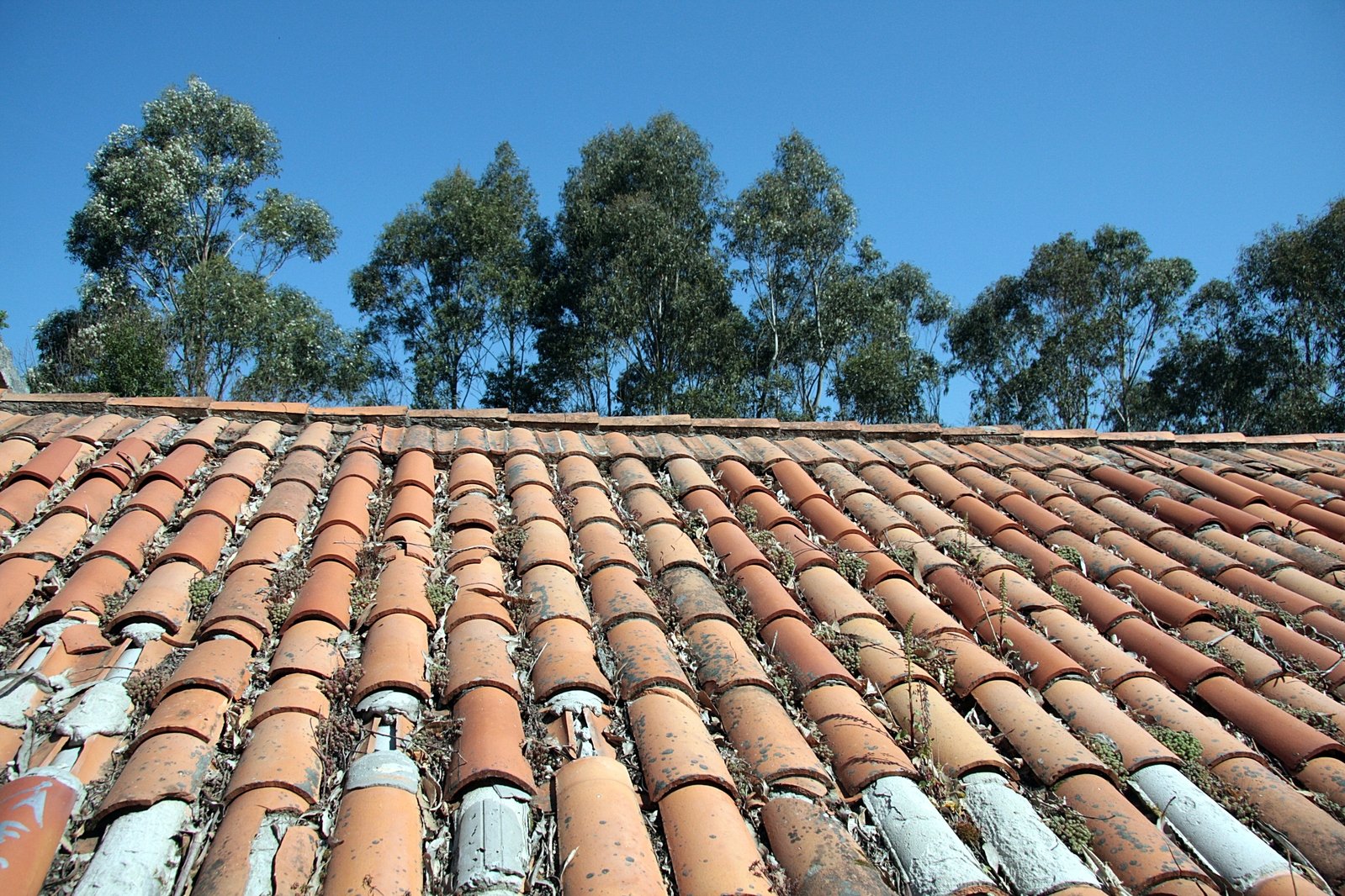 the roof of an old tiled building with trees in the background