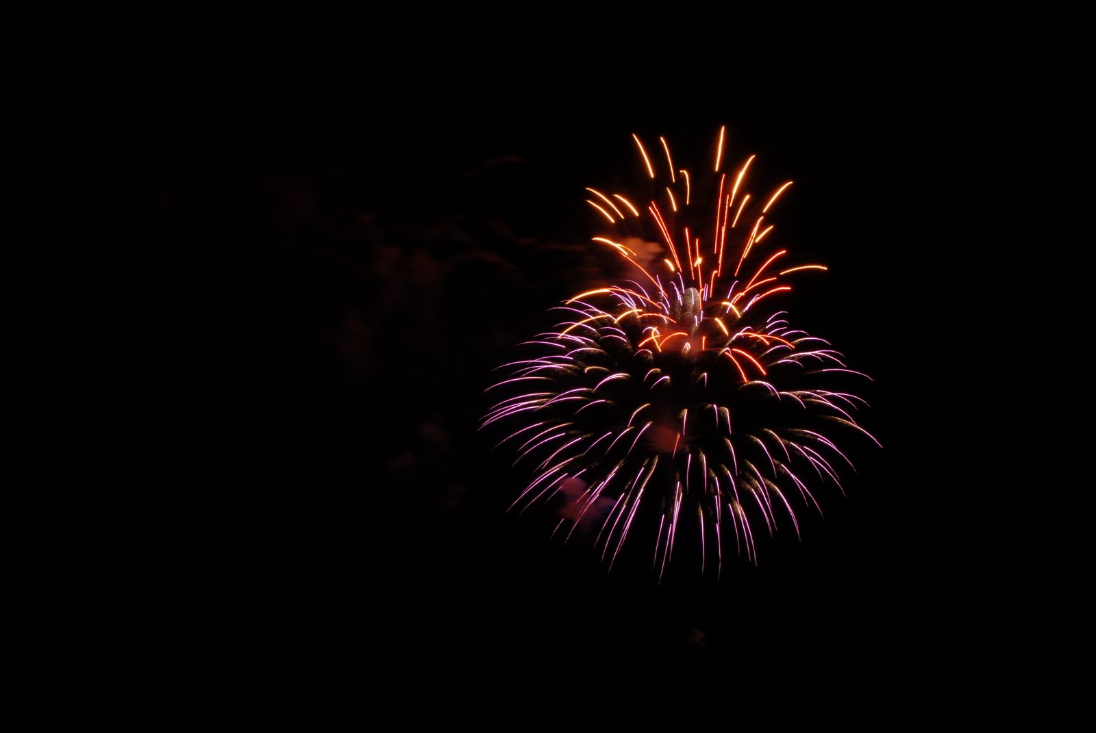 a brightly lit firework in the night sky