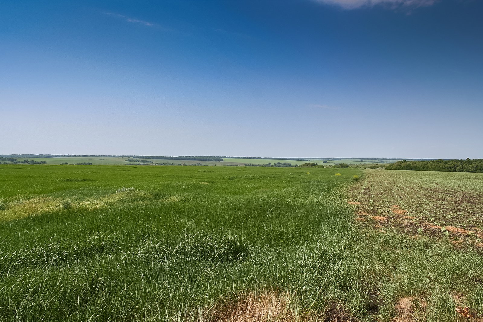 the view from an empty field of some green grass