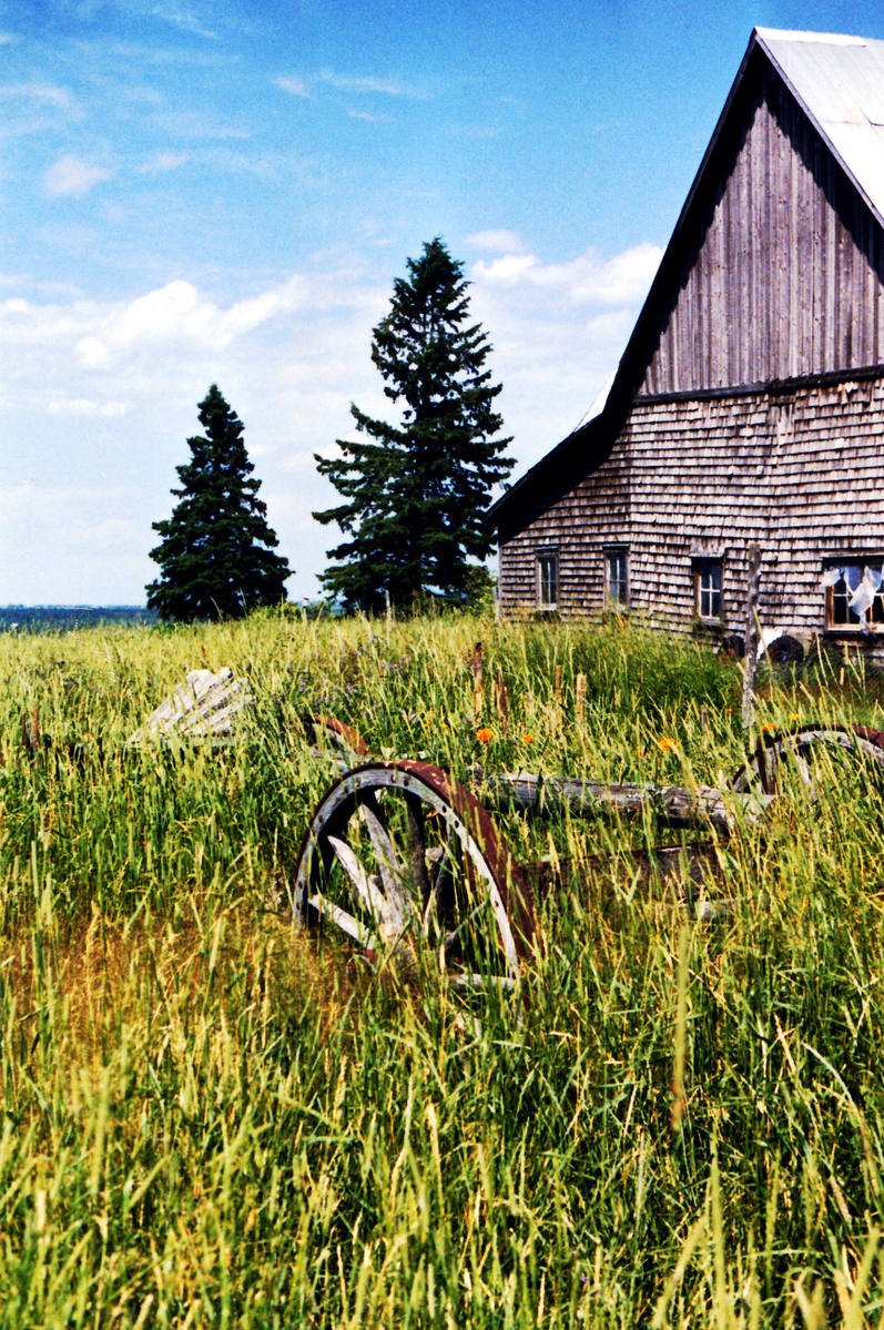 a barn sits on an unpaved grassy lot