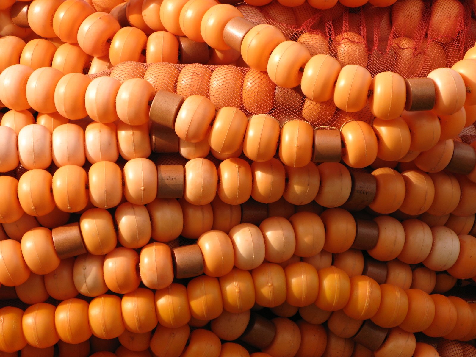 several rows of orange carrots laying together