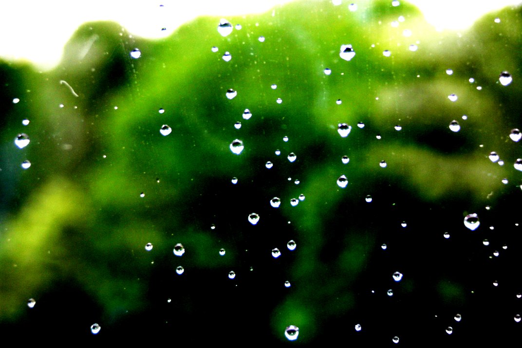 rain droplets on the window of a vehicle