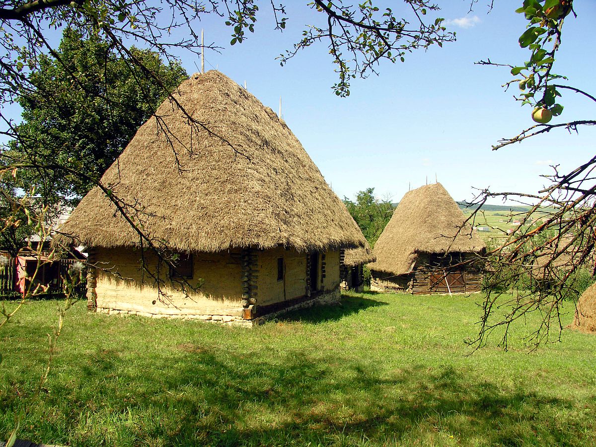 two thatched huts with windows sit in the middle of a green field