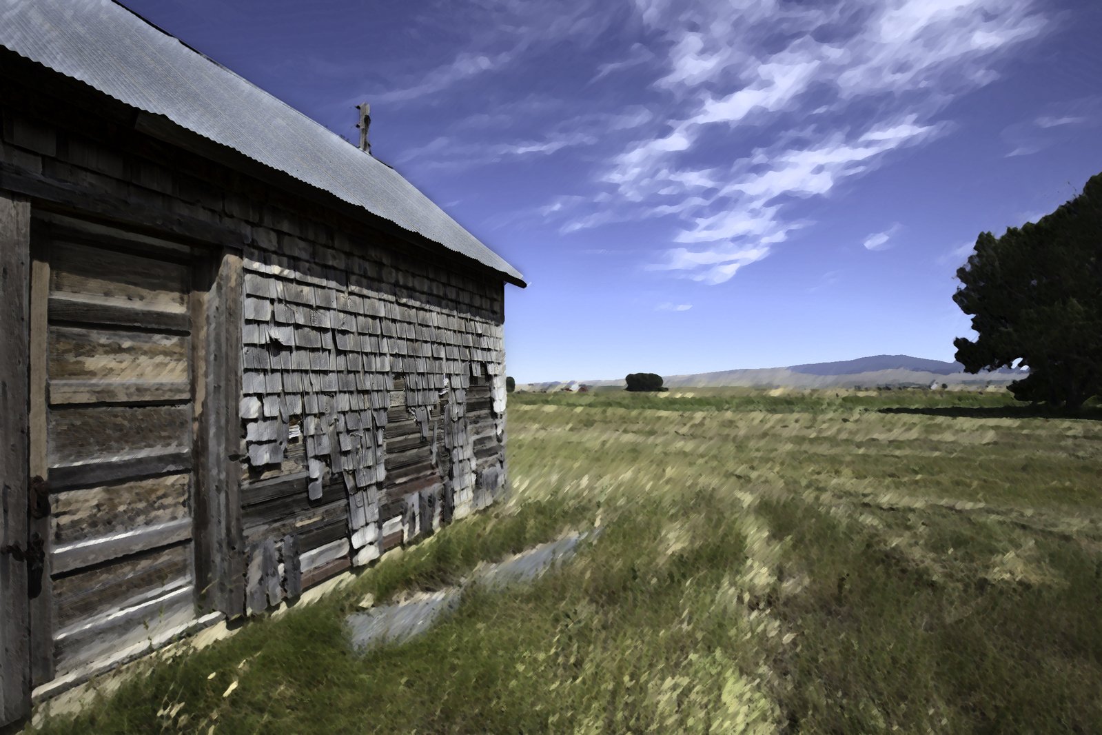 old wooden building with grass growing on the roof