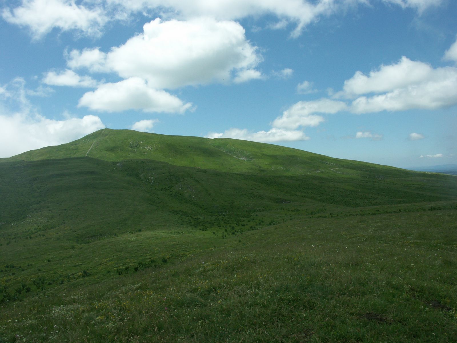an image of a hillside with green grass