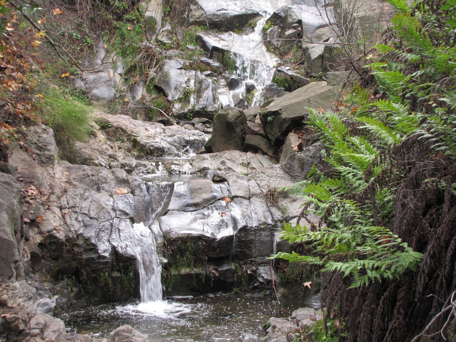 a small waterfall is surrounded by many trees