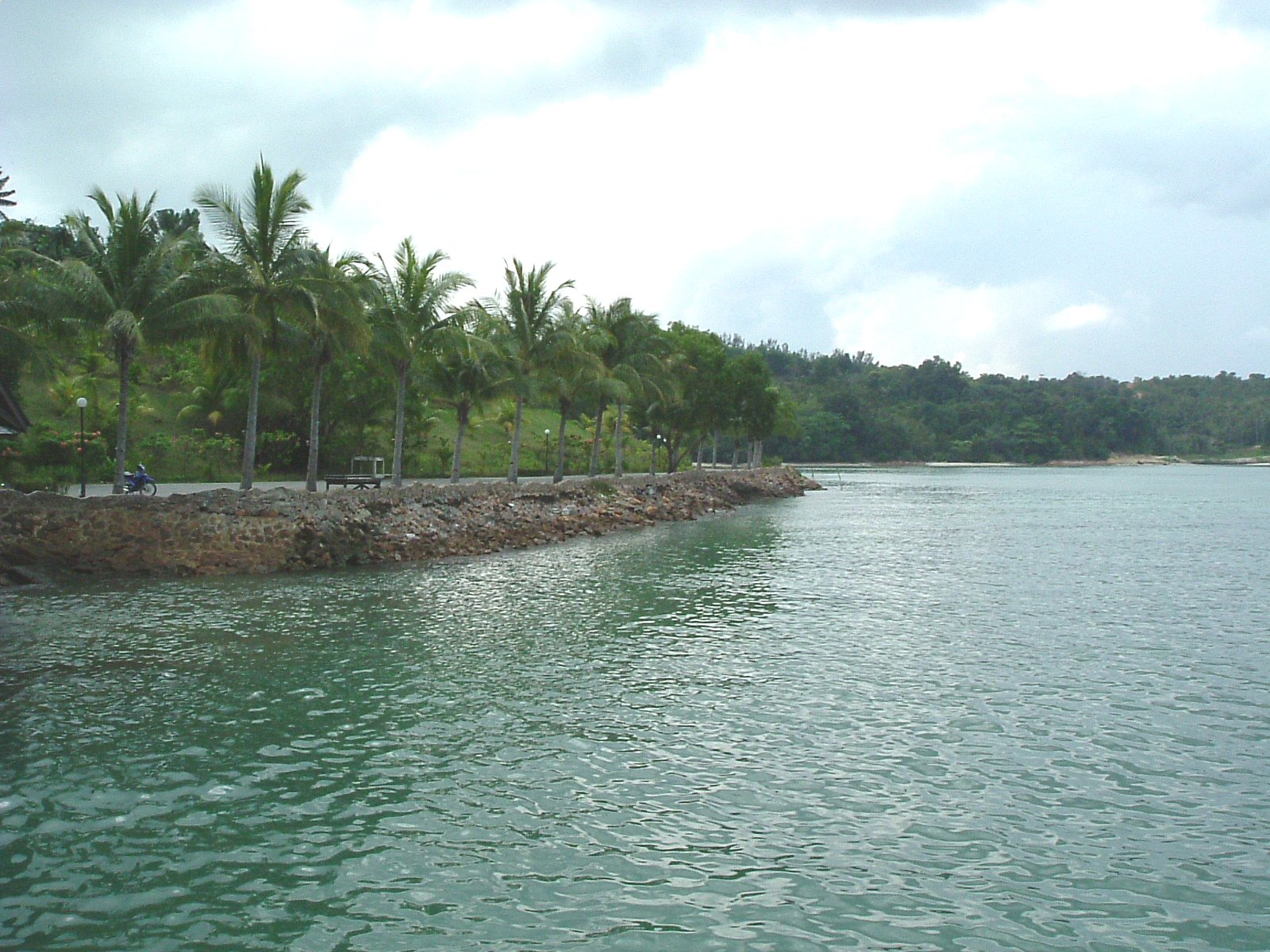 the view of the shoreline of the water with some palm trees on either side of it