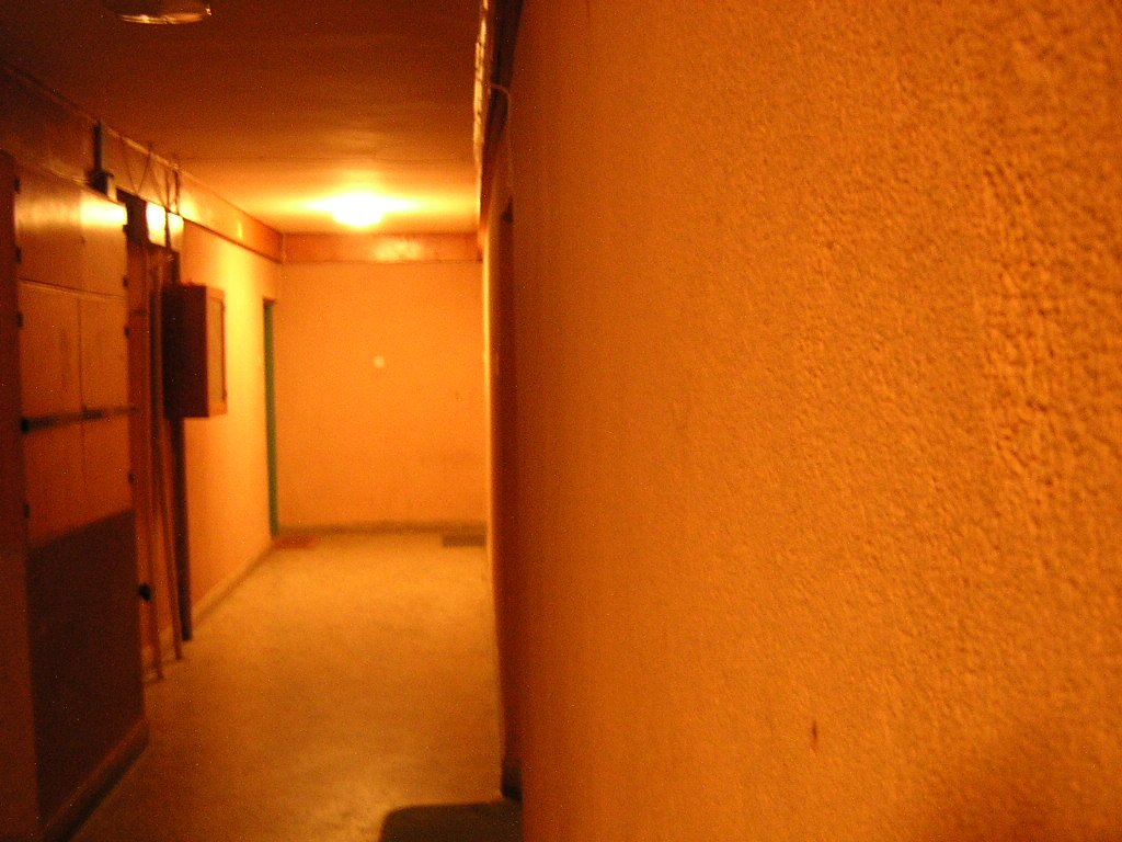 long narrow hallway with no people or walls