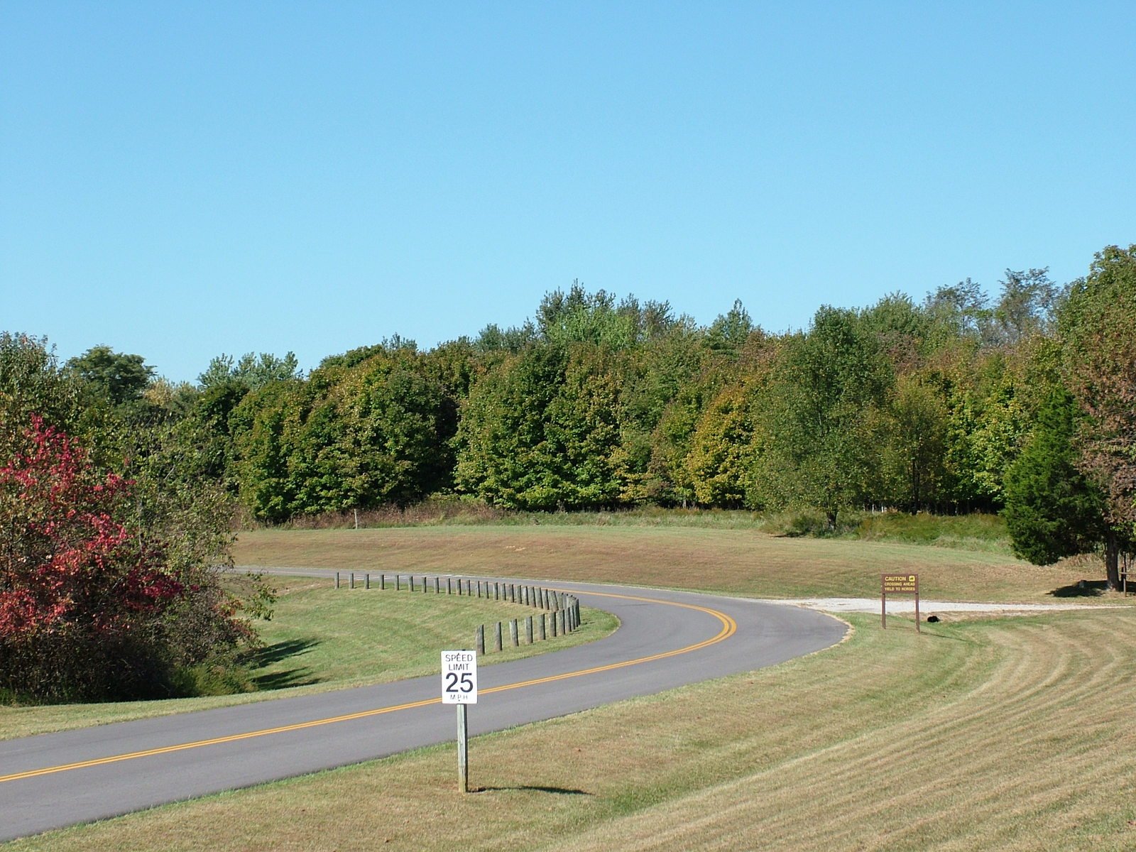 a curved road with a no turn sign in the middle