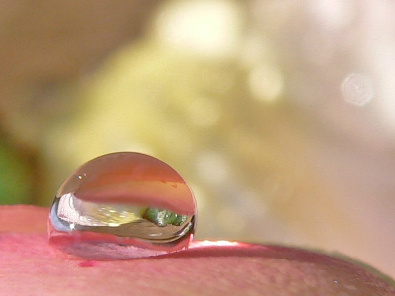 the water drop has been captured on a red fruit