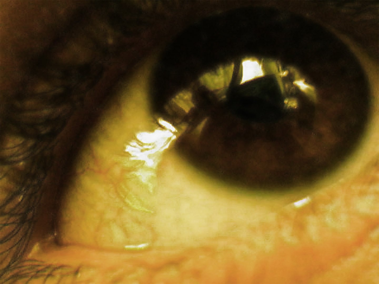 an eye with an iris looking into the camera