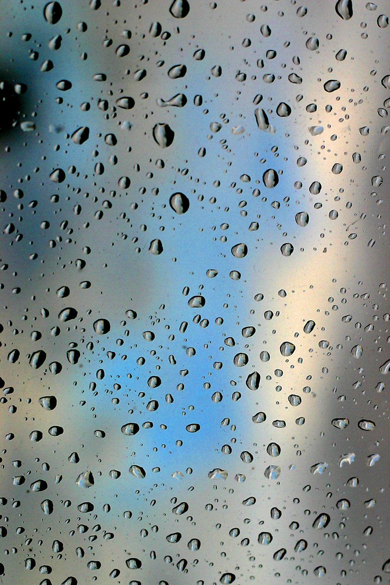 water droplets that have recently been covered by the sky