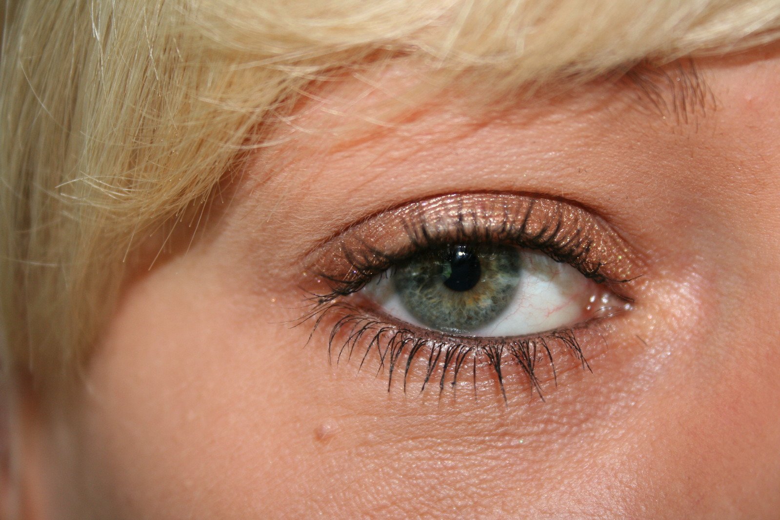 the closeup view of a blond woman's eye