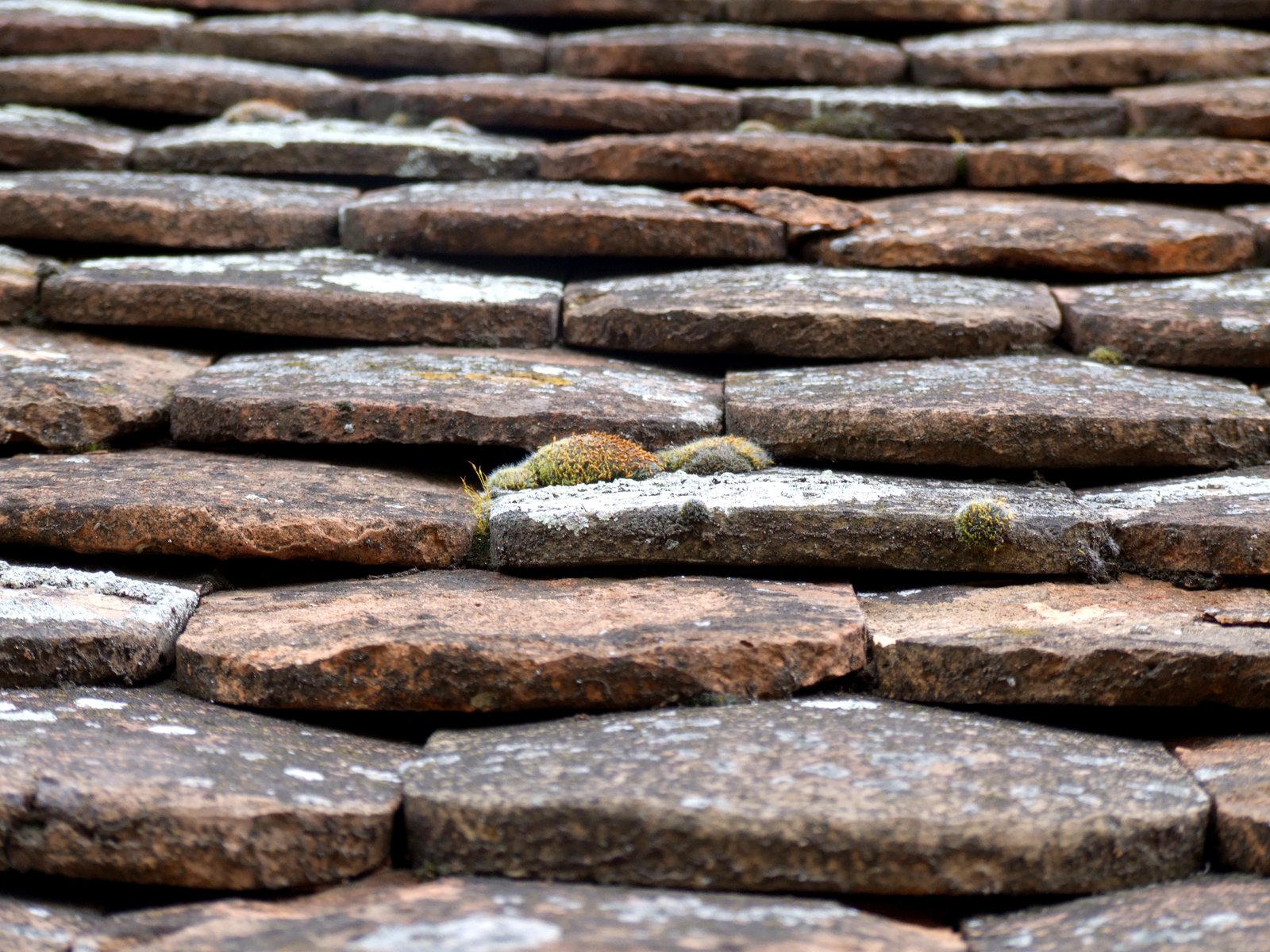 a bunch of bricks that have green moss on them