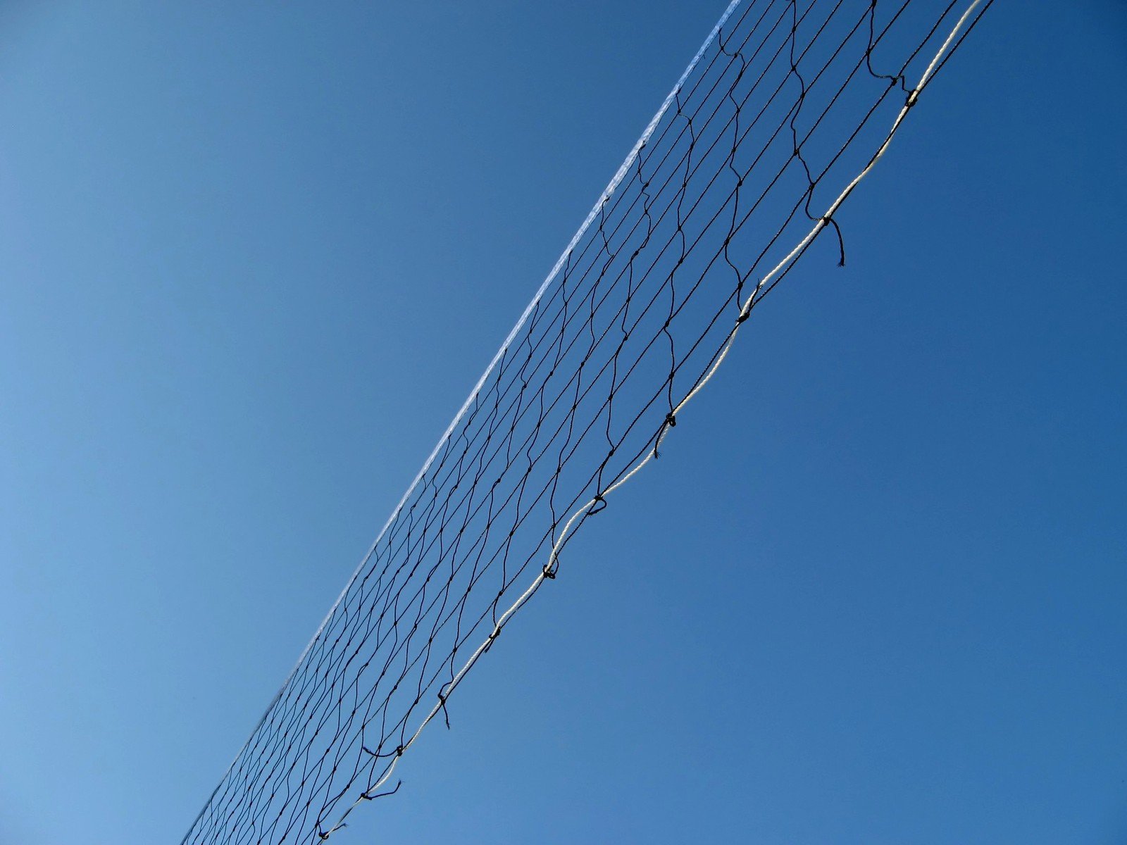 a wire and a clear blue sky in the background
