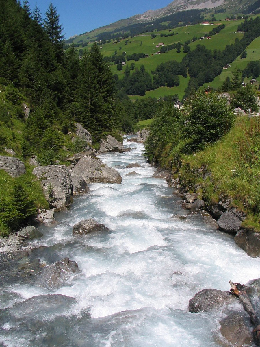 a stream runs through an alpine region in the wild