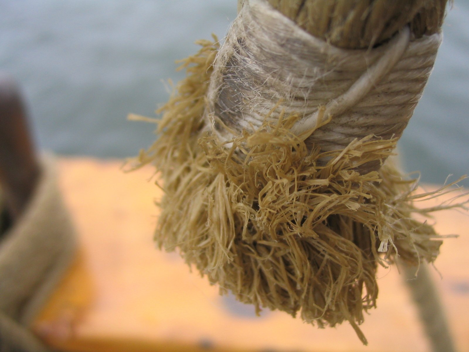 the rope is down, and it's attached to the boat