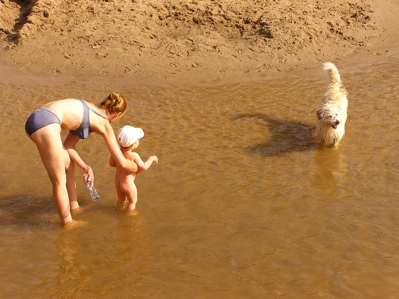 two people with a dog are wading in some shallow water