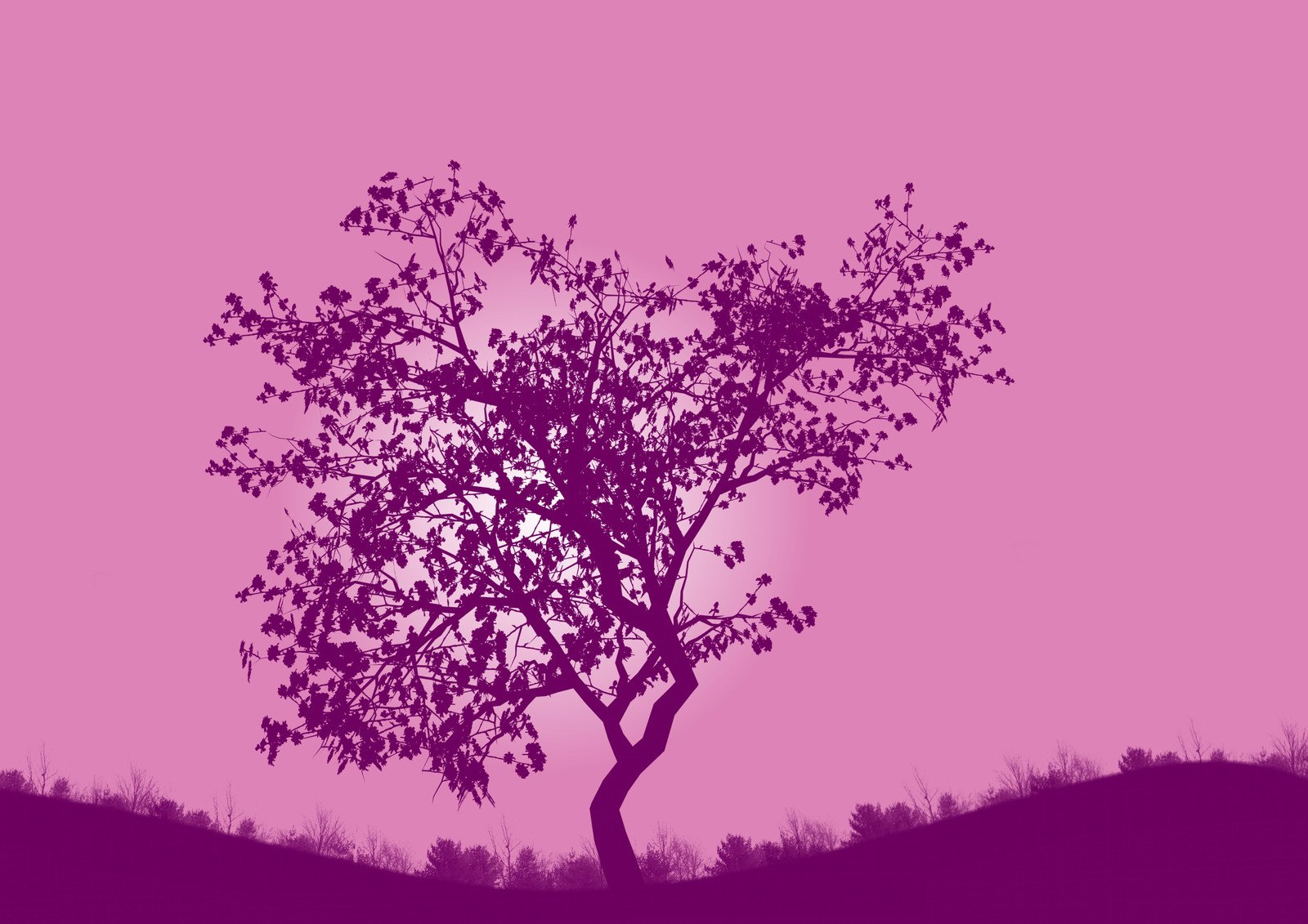 a small tree sitting in the grass with pink sky