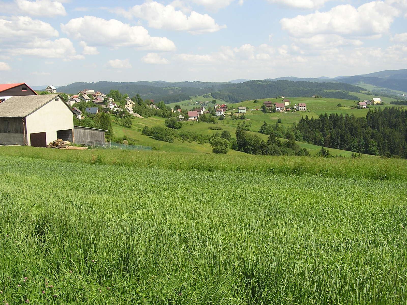 the view is of a hillside in the foreground and with houses on the hillside below