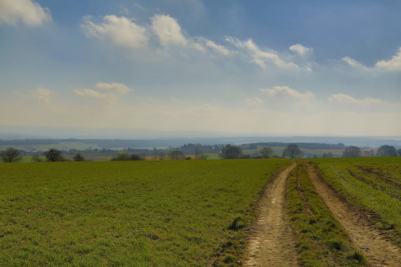 two people on a dirt path in a green field