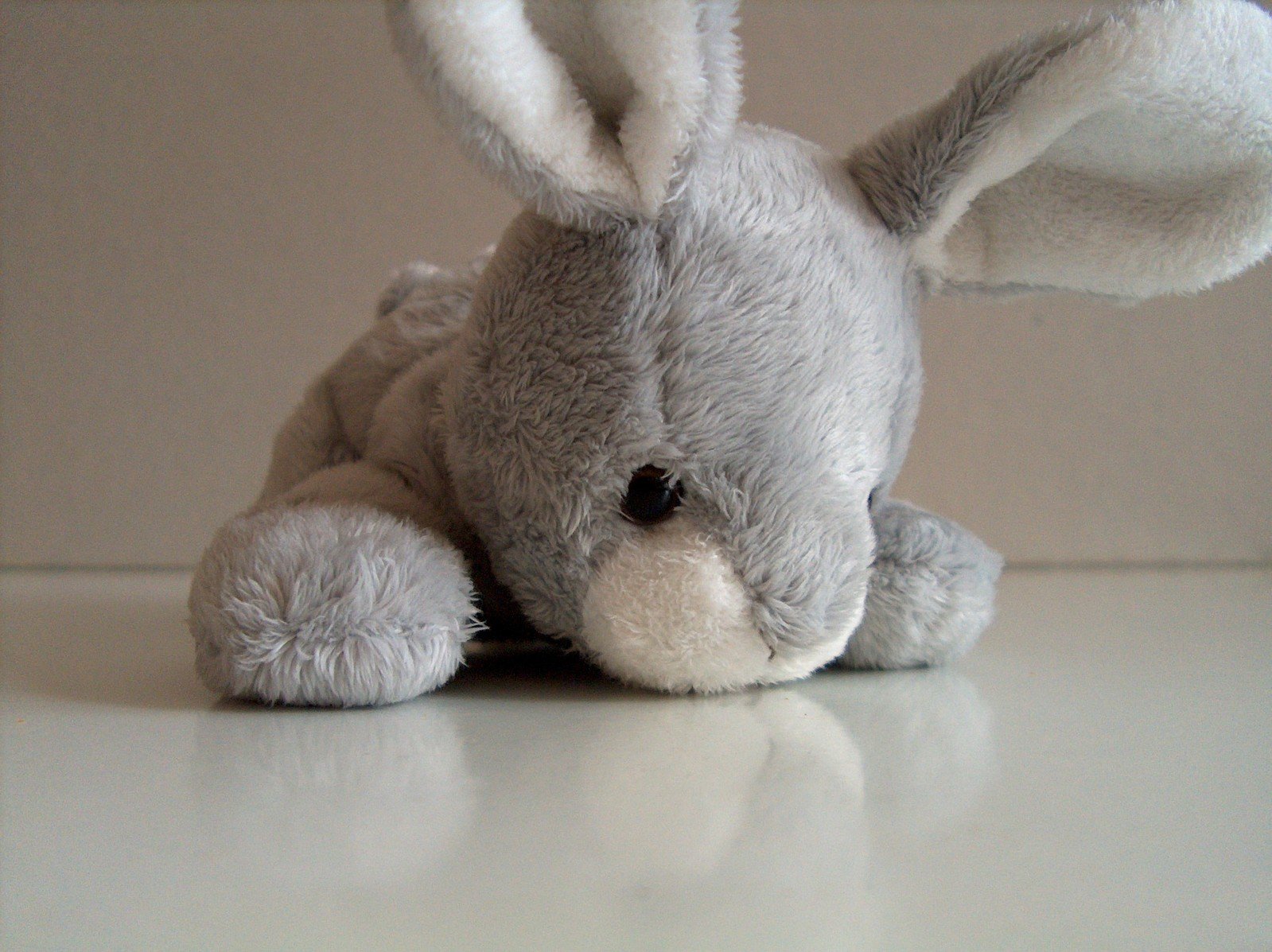 a stuffed rabbit sitting in front of a wall