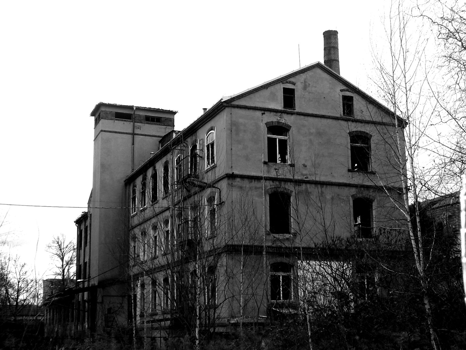 an old building with two tall windows and a few bushes