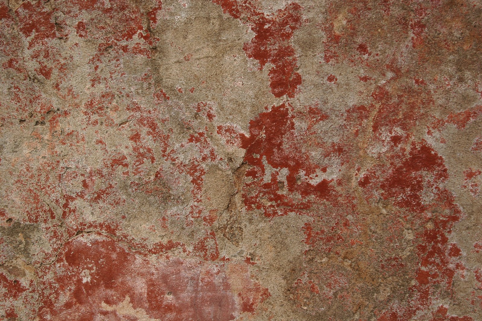 a red and tan wall with a cat on the side