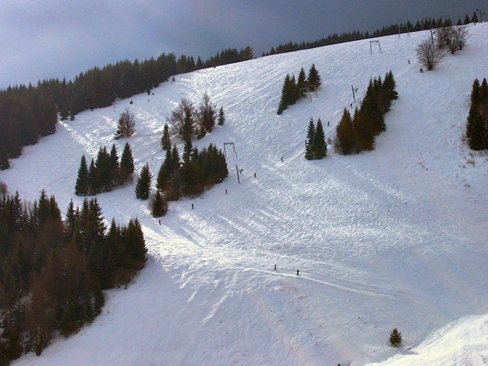 snowboarder riding down the slope with trees on the side