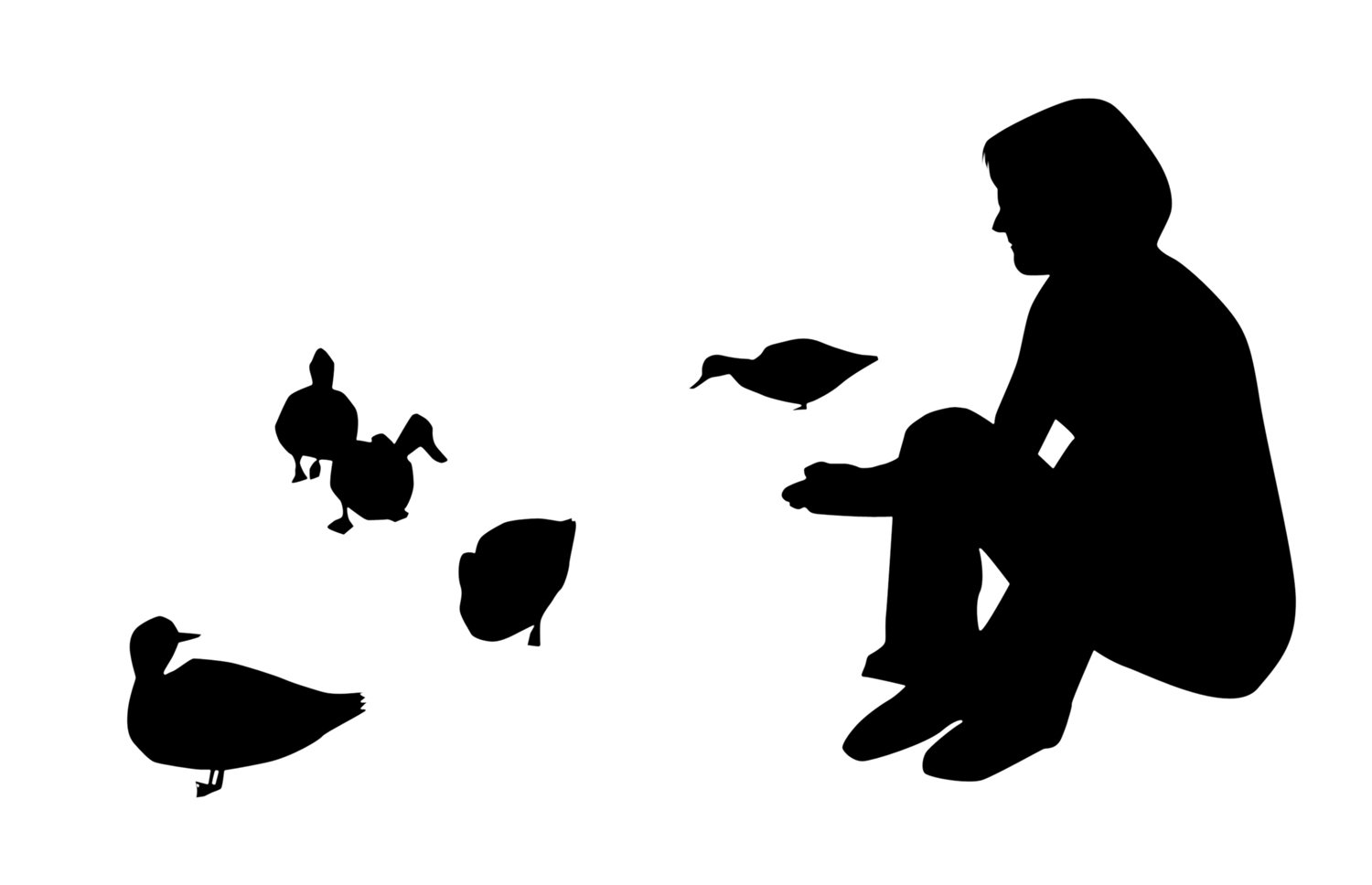 silhouette of man sitting on the ground, looking at two ducks