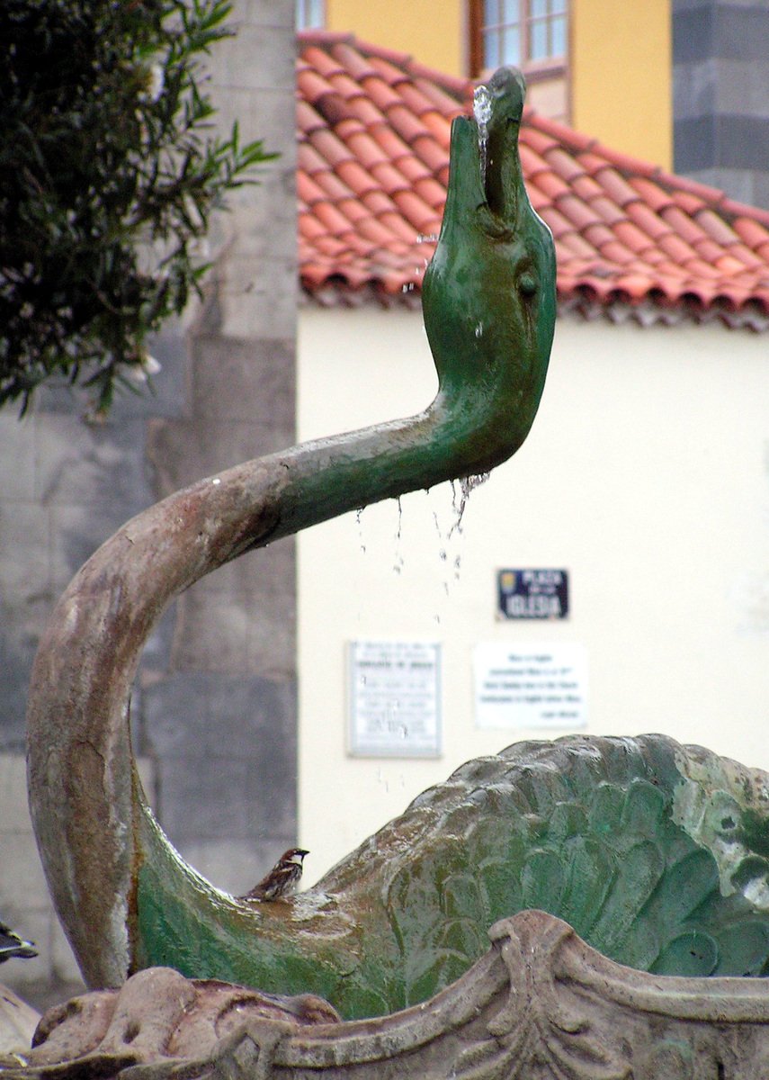 water gushing from a fountain in front of a building