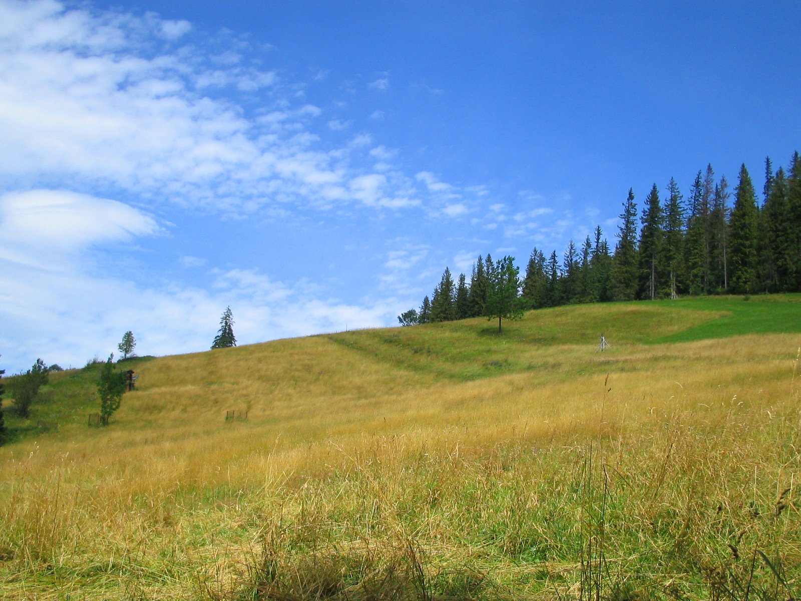 a man is flying a kite over the grassy hill