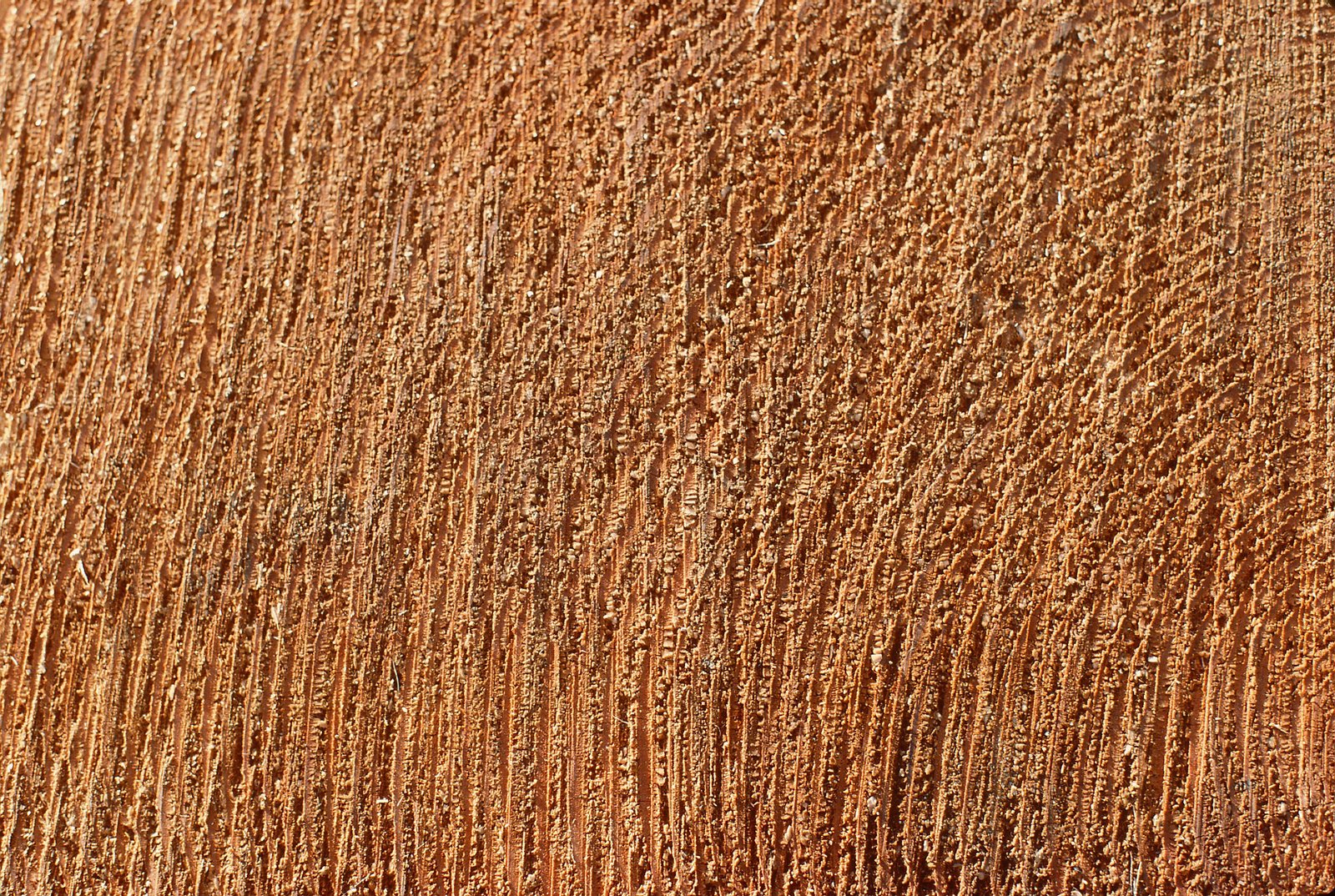 a close up image of wood grain showing the grainy material