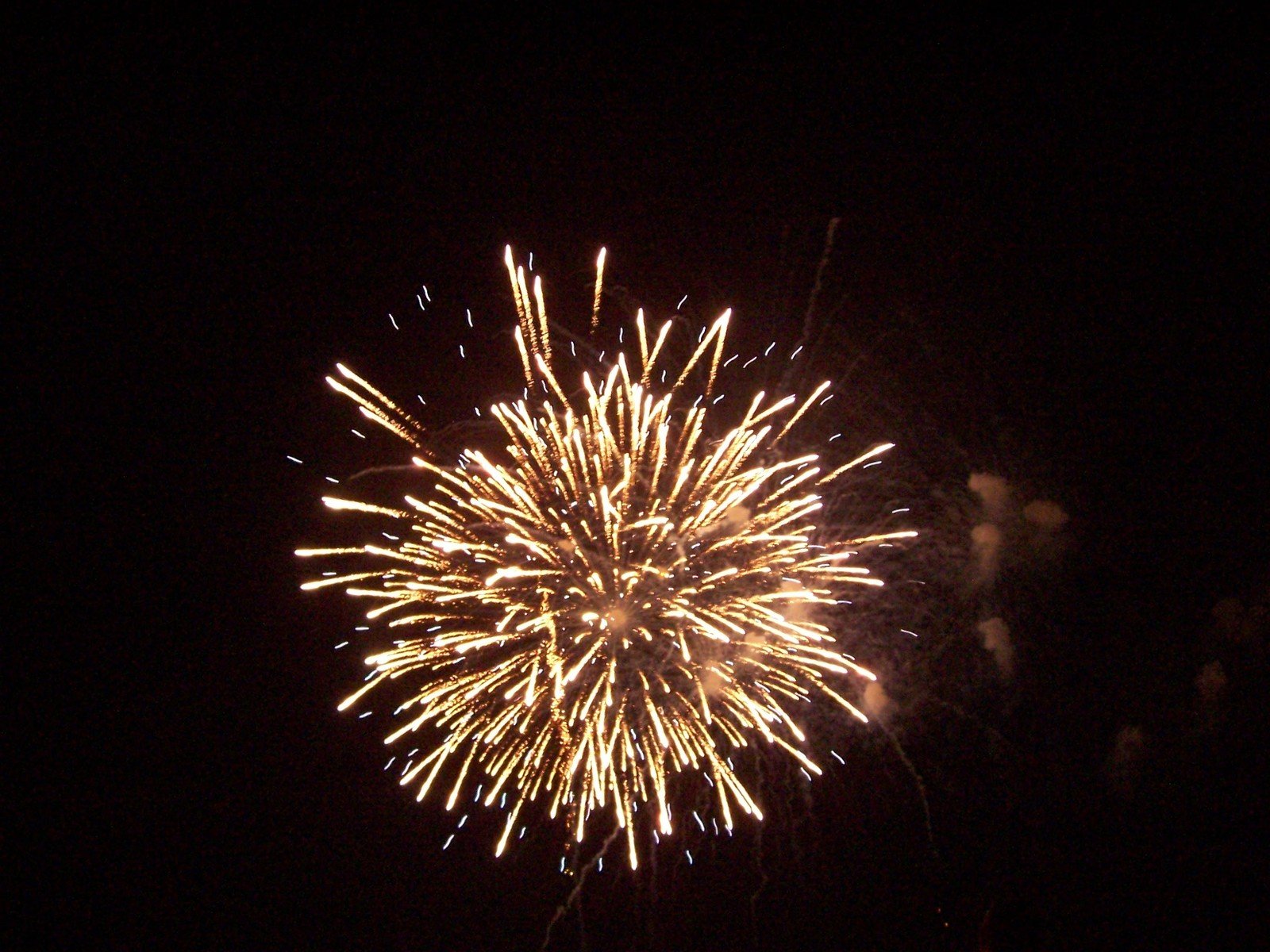 a large firework on the dark sky at night