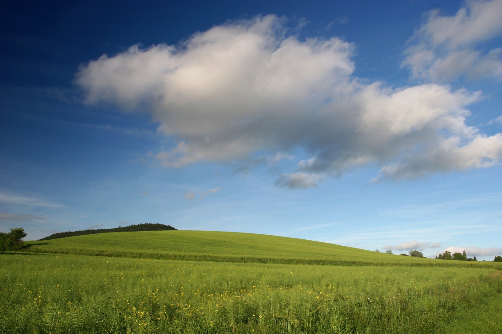 green field with blue sky and clouds on top