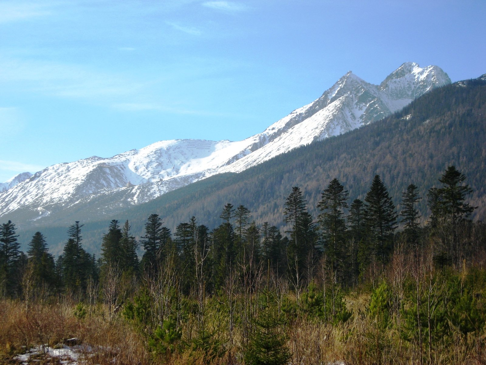 the mountains are covered with snow and trees