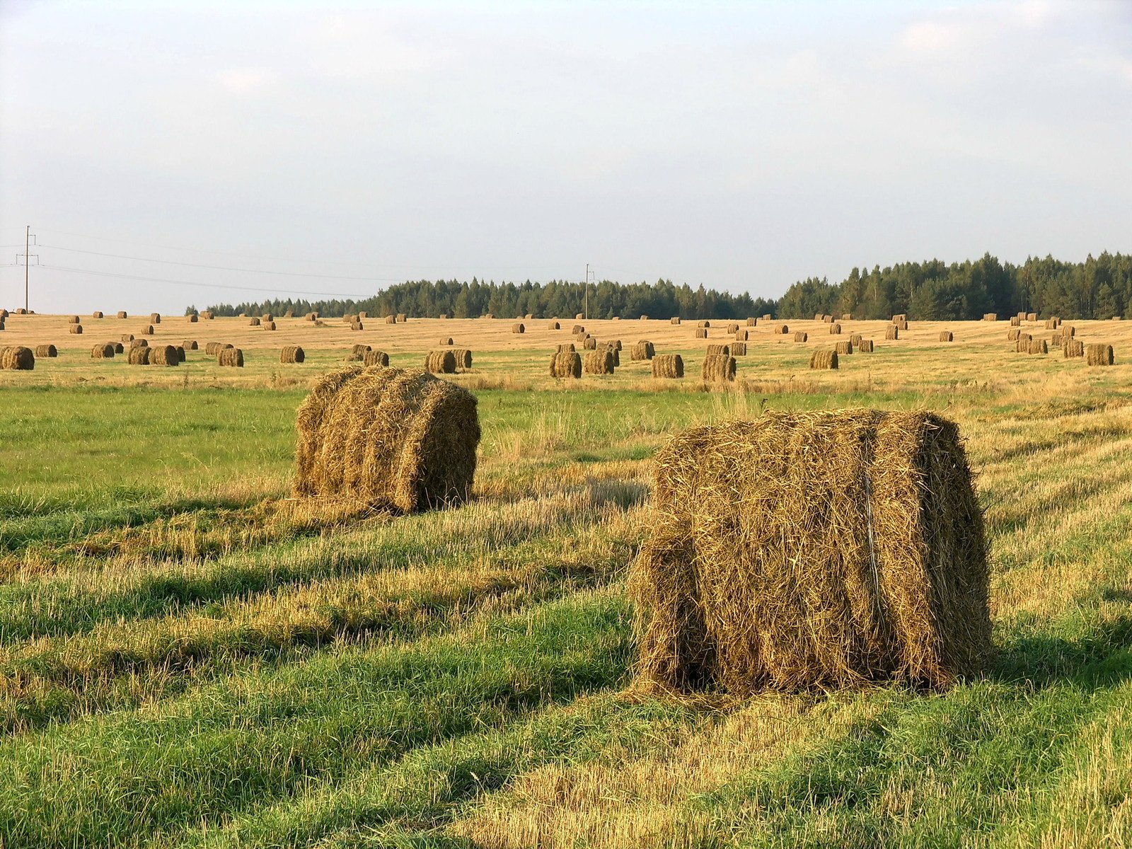 two large hay bales sitting in an open field