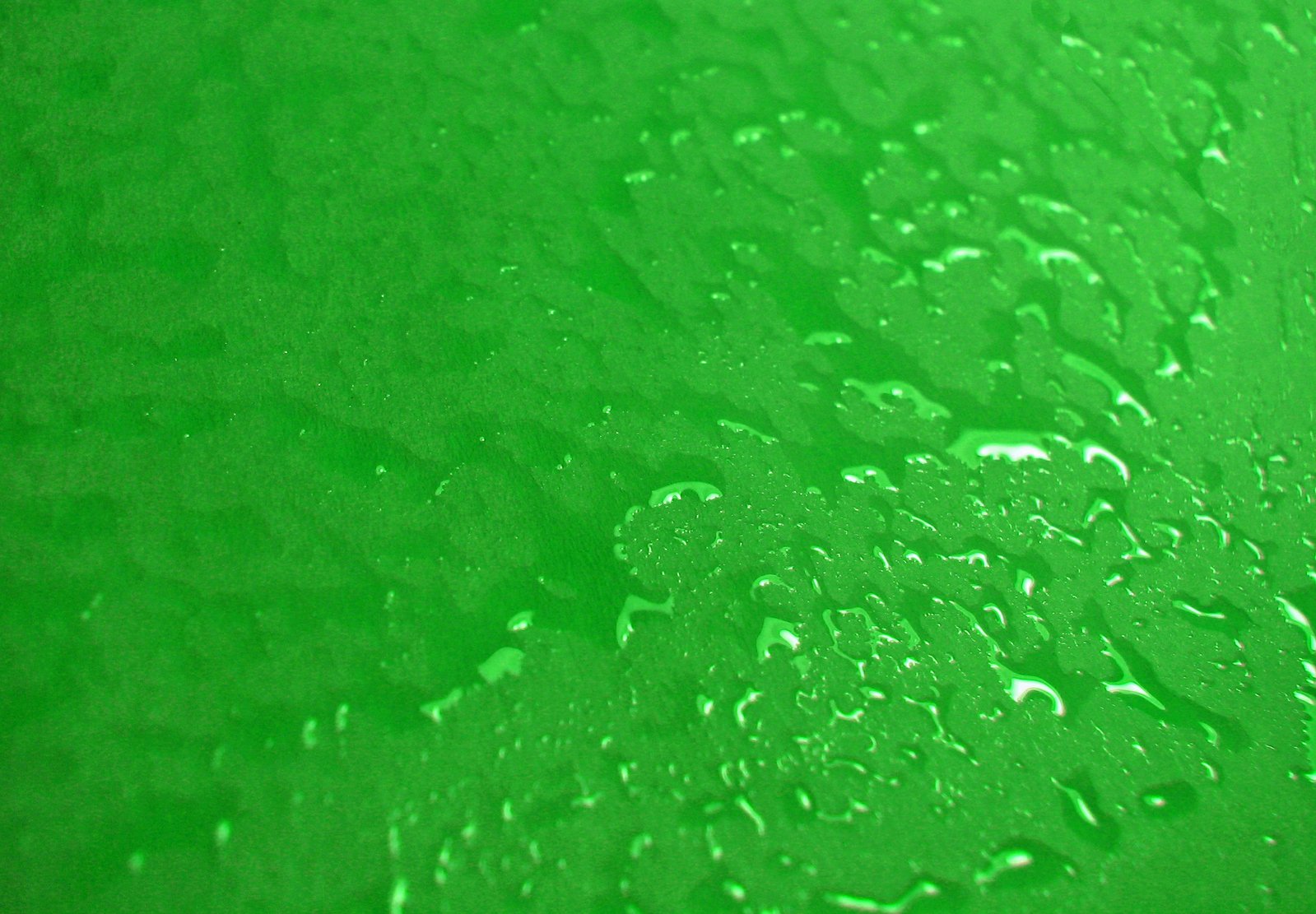 green background with water drops that have been taken from below