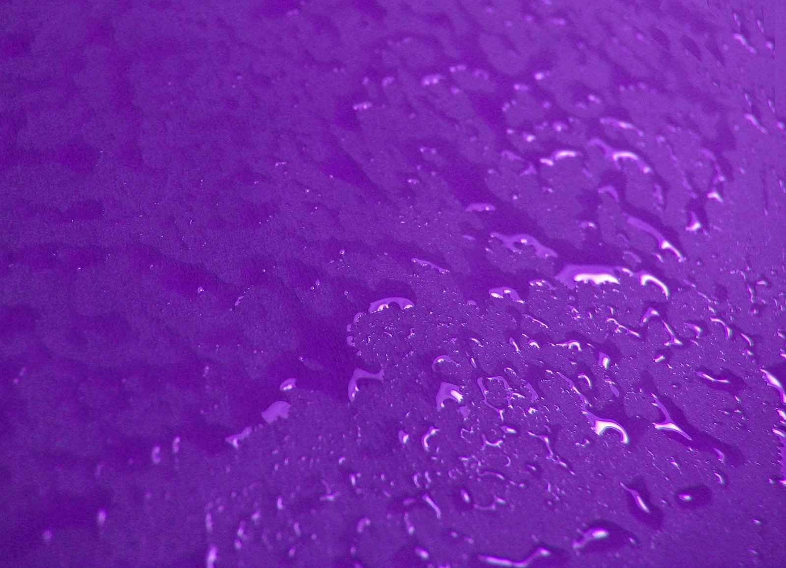 drops of water on purple background showing bright colors