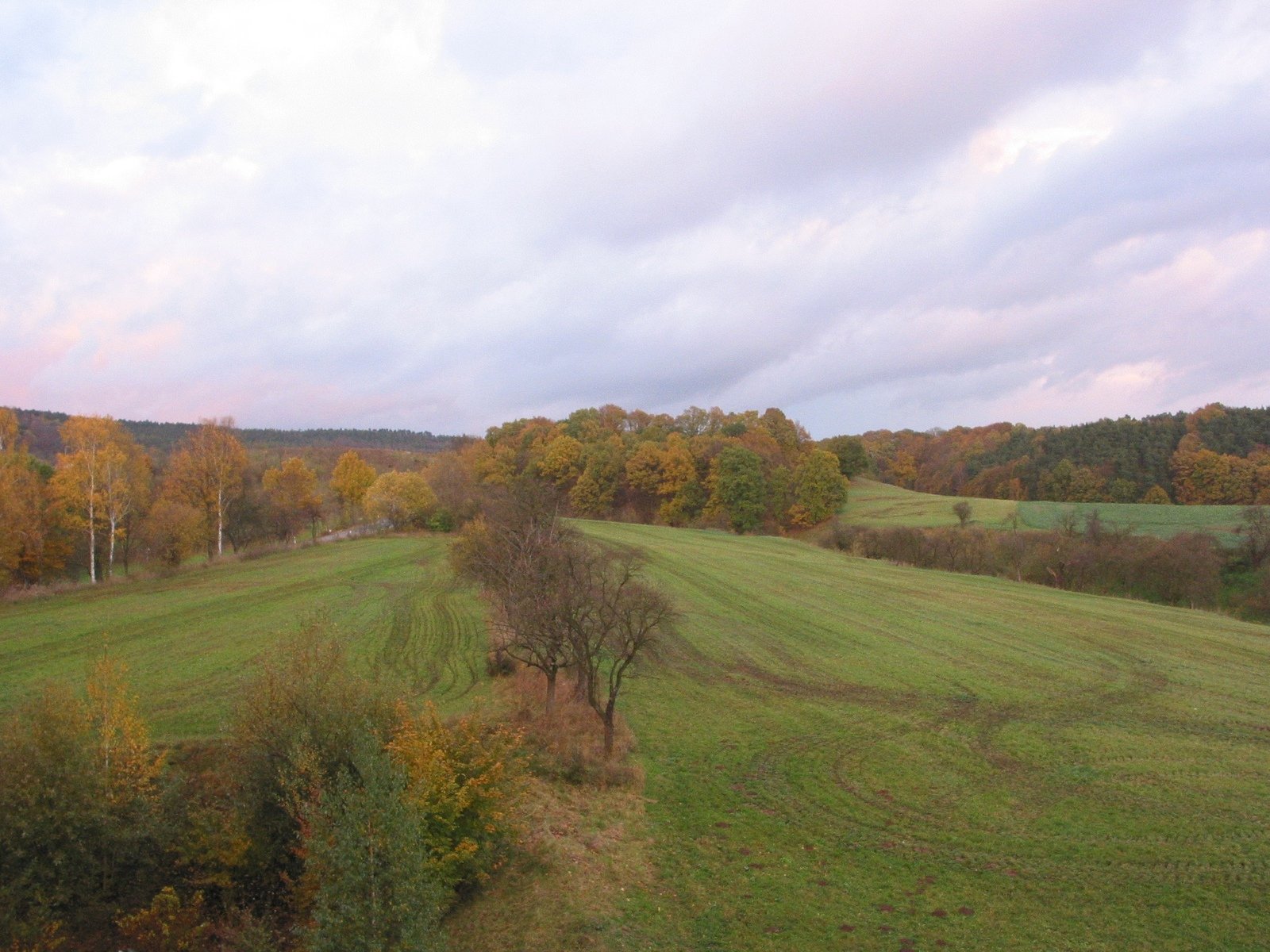 a lush green field with a lush green hillside