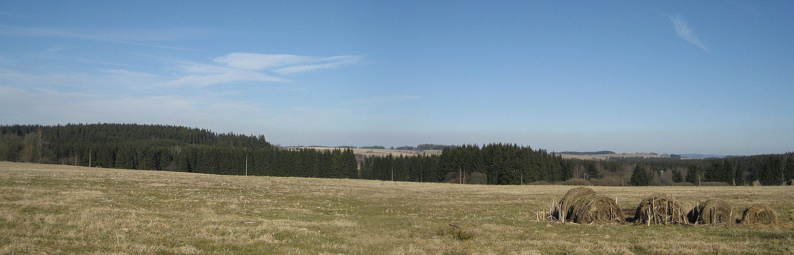 large field with grassy area and grass in the foreground