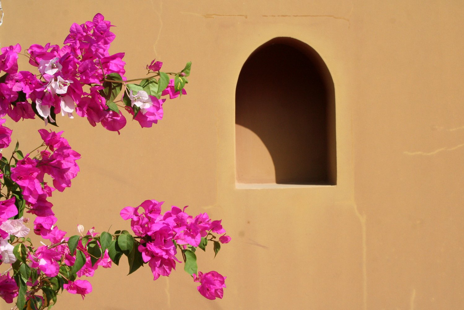 a window in a stucco building with pink and white flowers