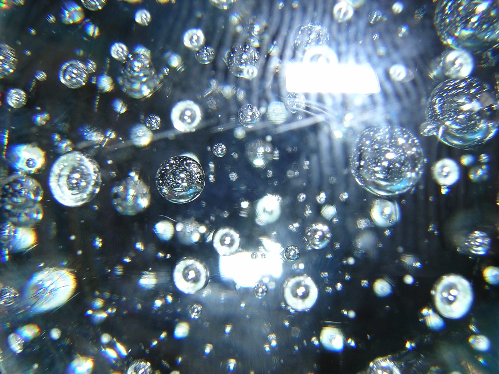 many shiny bubbles floating across a blue surface