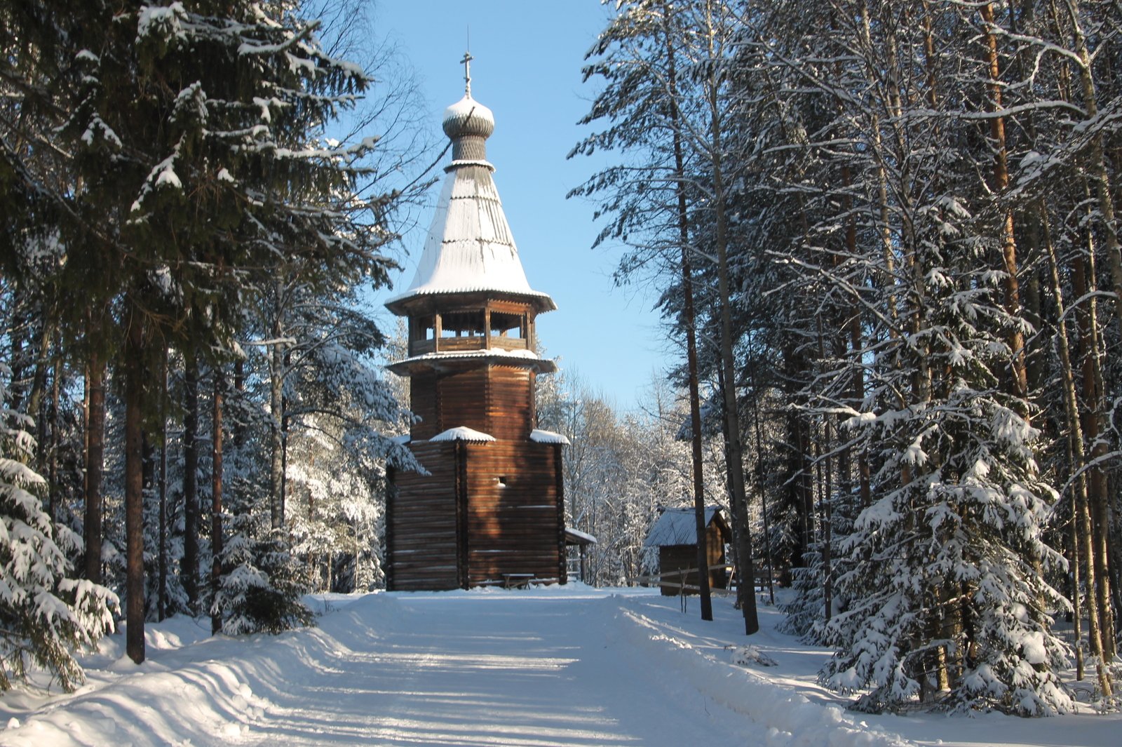 a path to a wooden tower in the woods