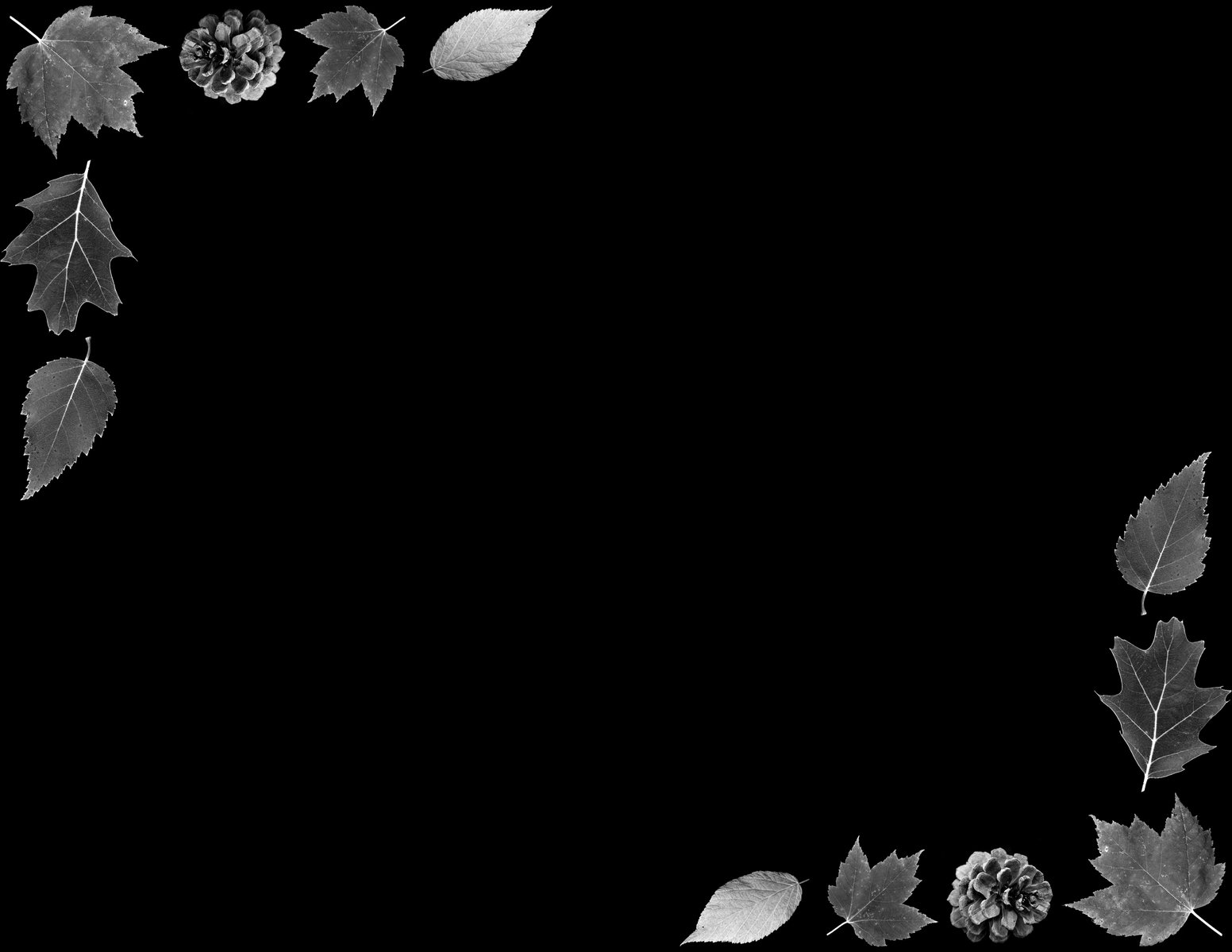 a black and white po with leaves and berries