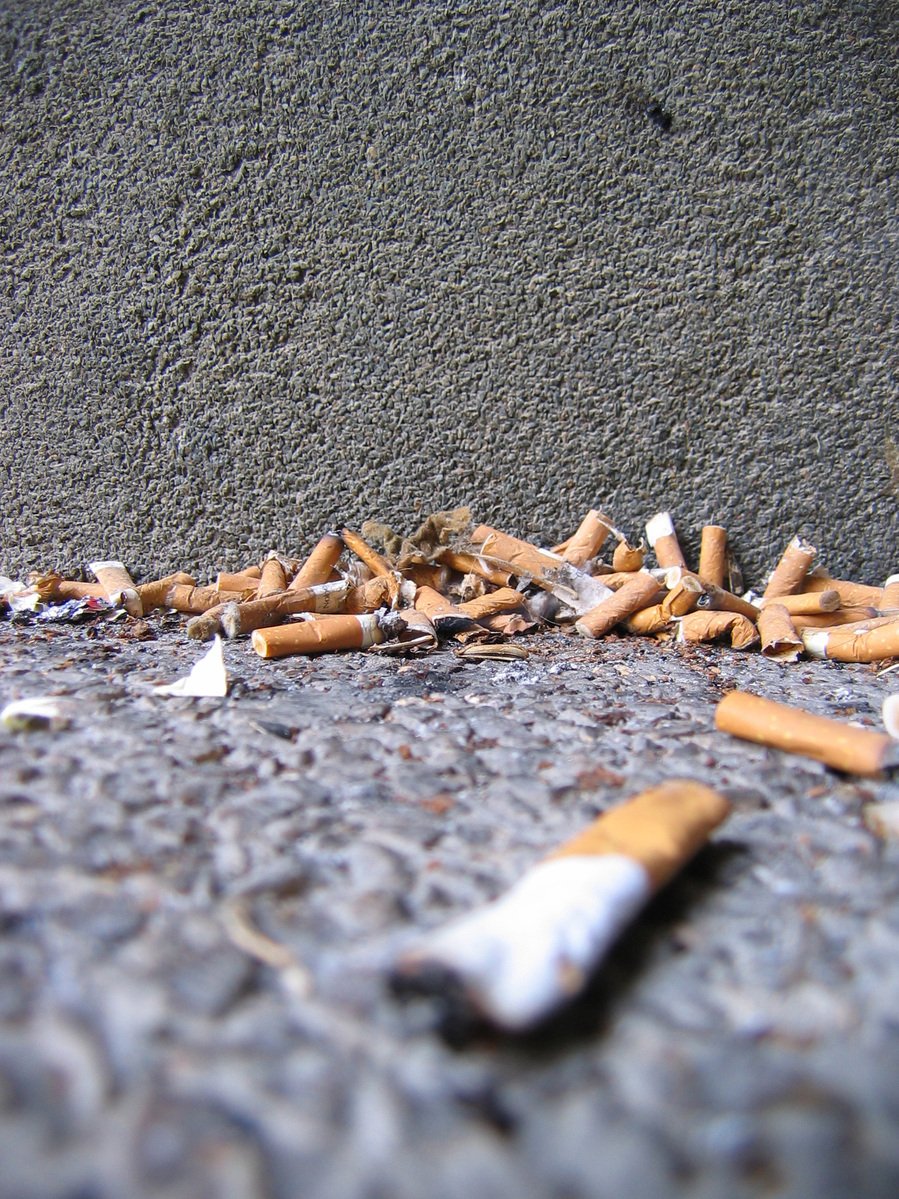 small cigarettes litter in the street outside a building